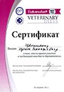 Цветинский Сергей Геннадьевич