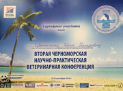 Цветинский Сергей Геннадьевич