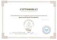 Цветинский Сергей Геннадьевич