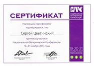 Цветинский Сергей Геннадьевич