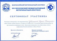 Цветинский Сергей Геннадьевич