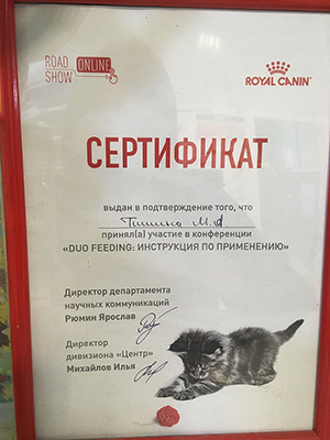 Тишина Марина Александровна