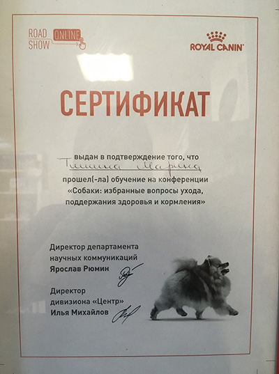 Тишина Марина Александровна